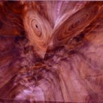 Close-up of bookmatched crotch walnut showing branching grain from a former limb