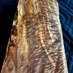 Cut section of maple board with dramatic curl and shimmer