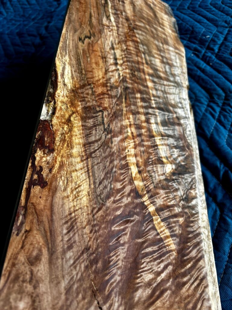 Cut section of maple board with dramatic curl and shimmer