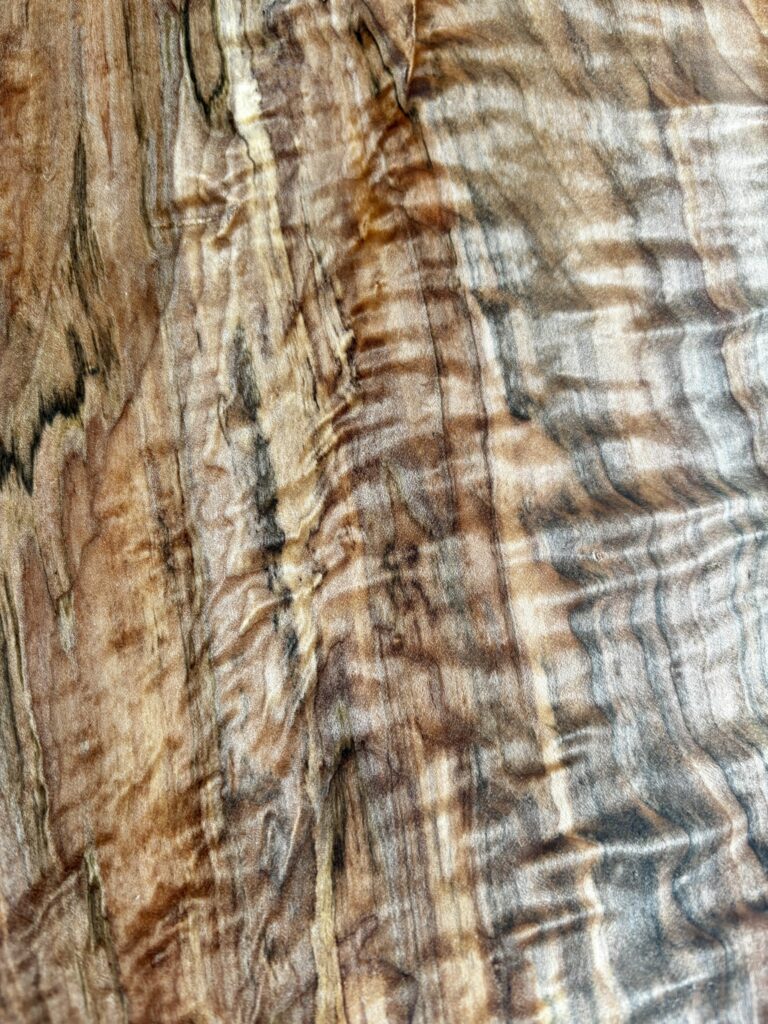 Front side close up of figured maple board with dramatic curls and puffy quilts.
