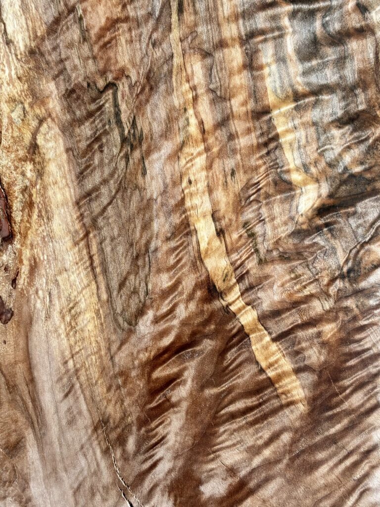 Back side close up of figured maple board with dramatic curls and puffy quilts.