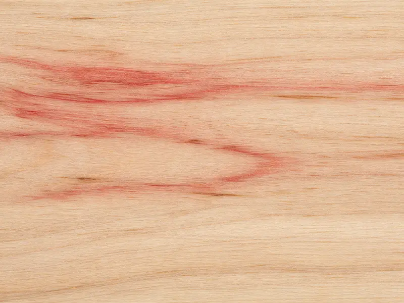 Box elder wood grain with distinctive reddish mineral streaking.